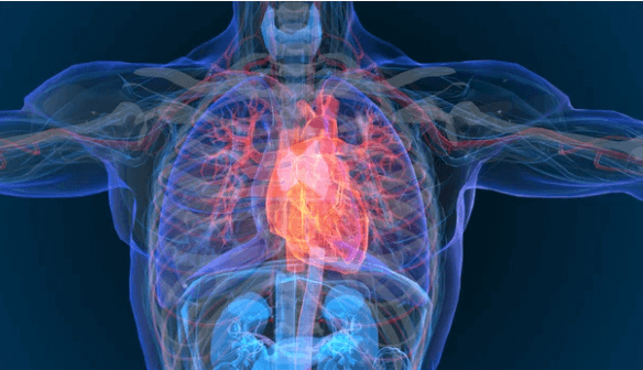 DOENÇAS CARDIOVASCULARES HEREDITÁRIAS